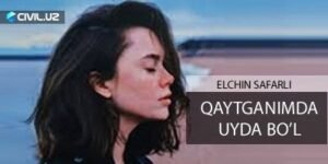 Qaytganimda uyda bo’l asaridan ostiga chizilgan parchalar (Elchin Safarli)